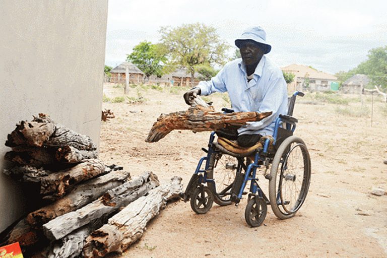 WHEELCHAIR WARRIOR Bazibi collecting firewood copy